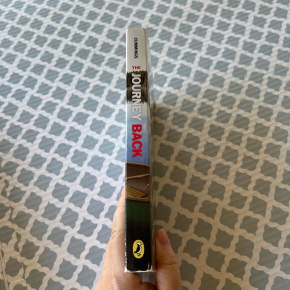 The Journey Back by Priscilla Cummings Paperback Book Pre-Loved - Picture 6 of 7